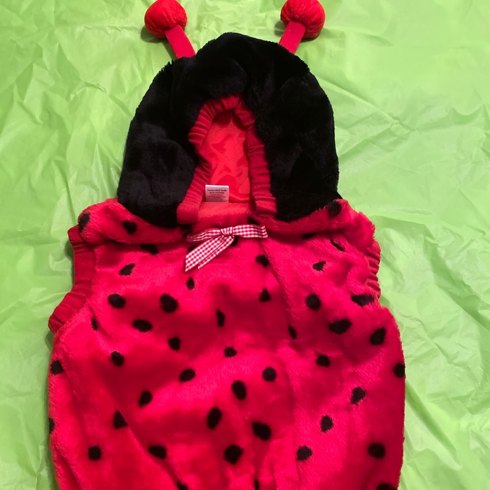 Ladybug costume